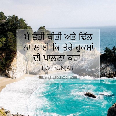 Picture 07 - ਜ਼ਬੂਰ 119:60 PANIRV - ਮੈਂ ਛੇਤੀ ਕੀਤੀ ਅਤੇ - Bible Verse Picture