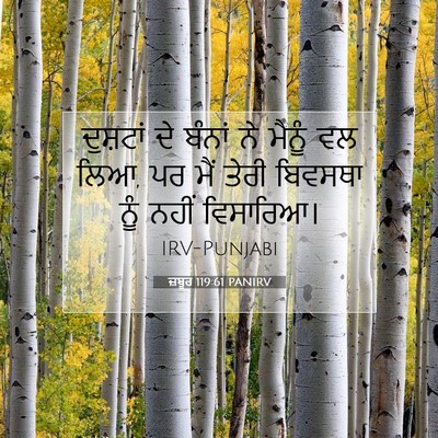 Picture 07 - ਜ਼ਬੂਰ 119:61 PANIRV - ਦੁਸ਼ਟਾਂ ਦੇ ਬੰਨਾਂ - Bible Verse Picture