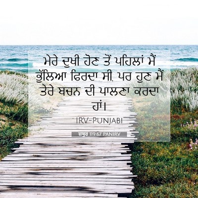 Picture 07 - ਜ਼ਬੂਰ 119:67 PANIRV - ਮੇਰੇ ਦੁਖੀ ਹੋਣ ਤੋਂ - Bible Verse Picture