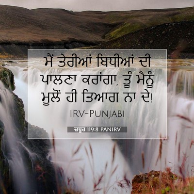 Picture 07 - ਜ਼ਬੂਰ 119:8 PANIRV - ਮੈਂ ਤੇਰੀਆਂ ਬਿਧੀਆਂ - Bible Verse Picture
