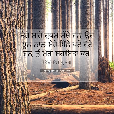 Picture 07 - ਜ਼ਬੂਰ 119:86 PANIRV - ਤੇਰੇ ਸਾਰੇ ਹੁਕਮ - Bible Verse Picture