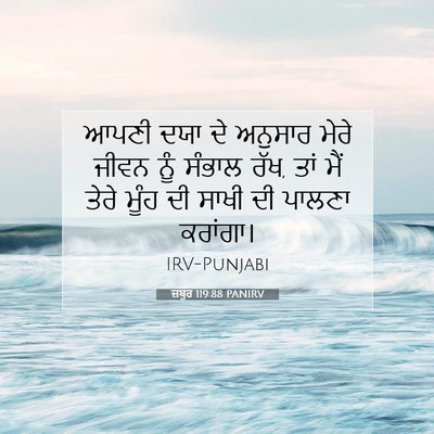 Picture 07 - ਜ਼ਬੂਰ 119:88 PANIRV - ਆਪਣੀ ਦਯਾ ਦੇ ਅਨੁਸਾਰ - Bible Verse Picture