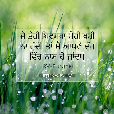 Picture 07 - ਜ਼ਬੂਰ 119:92 PANIRV - ਜੇ ਤੇਰੀ ਬਿਵਸਥਾ - Bible Verse Picture