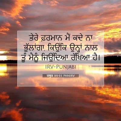 Picture 07 - ਜ਼ਬੂਰ 119:93 PANIRV - ਤੇਰੇ ਫ਼ਰਮਾਨ ਮੈਂ - Bible Verse Picture