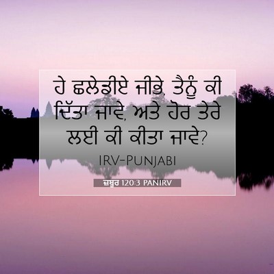 Picture 07 - ਜ਼ਬੂਰ 120:3 PANIRV - ਹੇ ਛਲੇਡੀਏ ਜੀਭੇ, - Bible Verse Picture