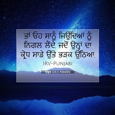 Picture 07 - ਜ਼ਬੂਰ 124:3 PANIRV - ਤਾਂ ਓਹ ਸਾਨੂੰ - Bible Verse Picture