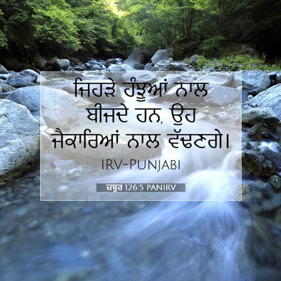 Picture 07 - ਜ਼ਬੂਰ 126:5 PANIRV - ਜਿਹੜੇ ਹੰਝੂਆਂ ਨਾਲ - Bible Verse Picture