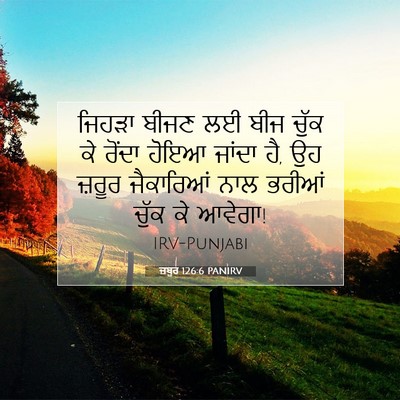 Picture 07 - ਜ਼ਬੂਰ 126:6 PANIRV - ਜਿਹੜਾ ਬੀਜਣ ਲਈ ਬੀਜ - Bible Verse Picture