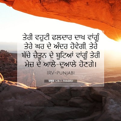 Picture 07 - ਜ਼ਬੂਰ 128:3 PANIRV - ਤੇਰੀ ਵਹੁਟੀ ਫਲਦਾਰ - Bible Verse Picture