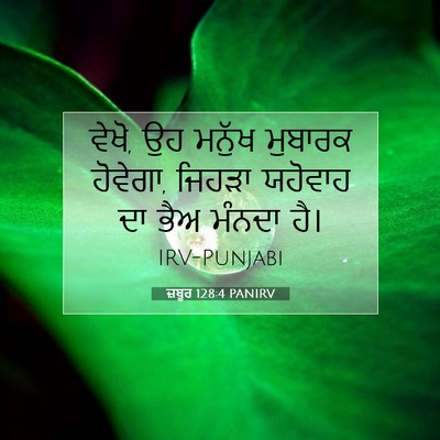 Picture 07 - ਜ਼ਬੂਰ 128:4 PANIRV - ਵੇਖੋ, ਉਹ ਮਨੁੱਖ - Bible Verse Picture