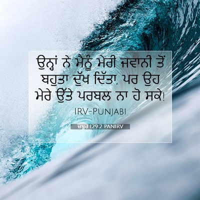 Picture 07 - ਜ਼ਬੂਰ 129:2 PANIRV - ਉਨ੍ਹਾਂ ਨੇ ਮੈਨੂੰ - Bible Verse Picture