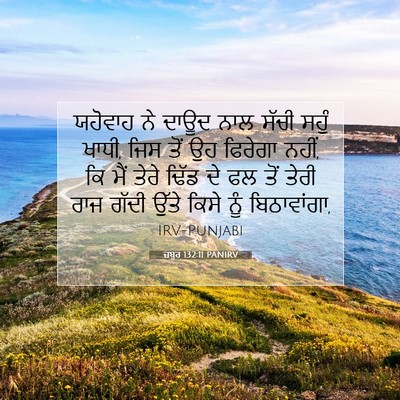 Picture 07 - ਜ਼ਬੂਰ 132:11 PANIRV - ਯਹੋਵਾਹ ਨੇ ਦਾਊਦ ਨਾਲ - Bible Verse Picture