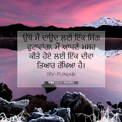 Picture 07 - ਜ਼ਬੂਰ 132:17 PANIRV - ਉੱਥੇ ਮੈਂ ਦਾਊਦ ਲਈ - Bible Verse Picture