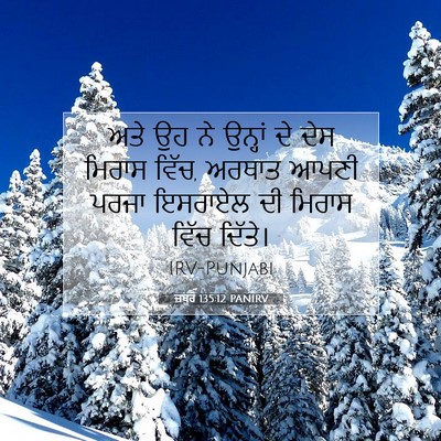 Picture 07 - ਜ਼ਬੂਰ 135:12 PANIRV - ਅਤੇ ਉਹ ਨੇ ਉਨ੍ਹਾਂ ਦੇ - Bible Verse Picture