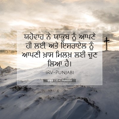 Picture 07 - ਜ਼ਬੂਰ 135:4 PANIRV - ਯਹੋਵਾਹ ਨੇ ਯਾਕੂਬ - Bible Verse Picture