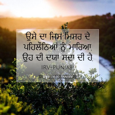 Picture 07 - ਜ਼ਬੂਰ 136:10 PANIRV - ਉਸੇ ਦਾ ਜਿਸ ਮਿਸਰ ਦੇ - Bible Verse Picture