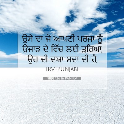 Picture 07 - ਜ਼ਬੂਰ 136:16 PANIRV - ਉਸੇ ਦਾ ਜੋ ਆਪਣੀ ਪਰਜਾ - Bible Verse Picture