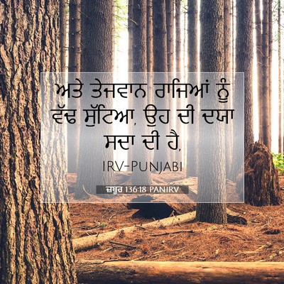 Picture 07 - ਜ਼ਬੂਰ 136:18 PANIRV - ਅਤੇ ਤੇਜਵਾਨ ਰਾਜਿਆਂ - Bible Verse Picture