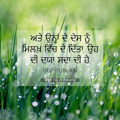 Picture 07 - ਜ਼ਬੂਰ 136:21 PANIRV - ਅਤੇ ਉਨ੍ਹਾਂ ਦੇ ਦੇਸ - Bible Verse Picture