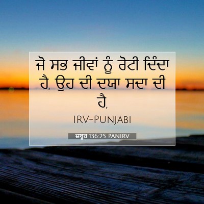 Picture 07 - ਜ਼ਬੂਰ 136:25 PANIRV - ਜੋ ਸਭ ਜੀਵਾਂ ਨੂੰ - Bible Verse Picture