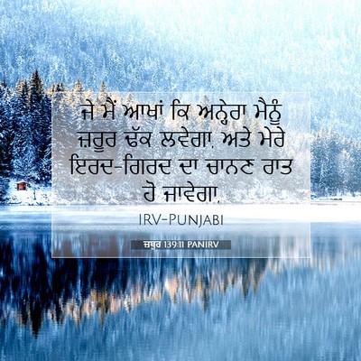 Picture 07 - ਜ਼ਬੂਰ 139:11 PANIRV - ਜੇ ਮੈਂ ਆਖਾਂ ਕਿ - Bible Verse Picture