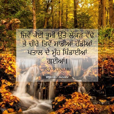Picture 07 - ਜ਼ਬੂਰ 141:7 PANIRV - ਜਿਵੇਂ ਕੋਈ ਭੂਮੀ - Bible Verse Picture