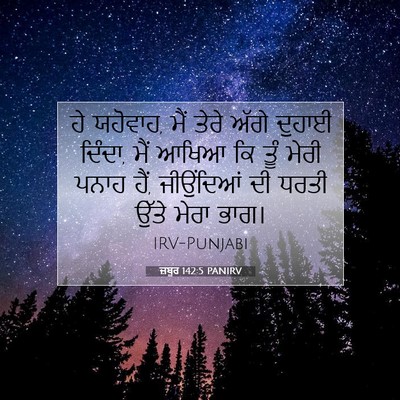 Picture 07 - ਜ਼ਬੂਰ 142:5 PANIRV - ਹੇ ਯਹੋਵਾਹ, ਮੈਂ ਤੇਰੇ - Bible Verse Picture