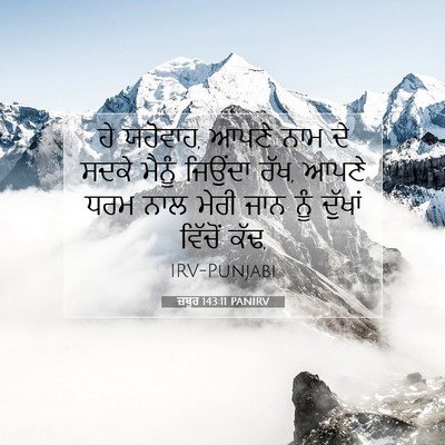 Picture 07 - ਜ਼ਬੂਰ 143:11 PANIRV - ਹੇ ਯਹੋਵਾਹ, ਆਪਣੇ ਨਾਮ - Bible Verse Picture
