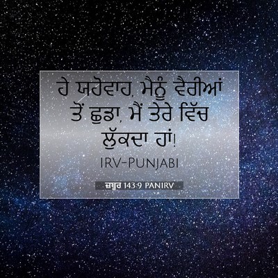 Picture 07 - ਜ਼ਬੂਰ 143:9 PANIRV - ਹੇ ਯਹੋਵਾਹ, ਮੈਨੂੰ - Bible Verse Picture