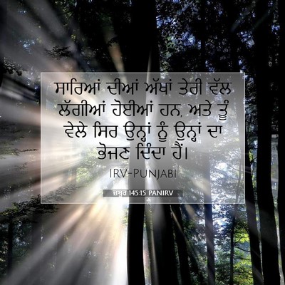 Picture 07 - ਜ਼ਬੂਰ 145:15 PANIRV - ਸਾਰਿਆਂ ਦੀਆਂ ਅੱਖਾਂ - Bible Verse Picture