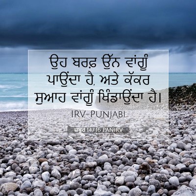 Picture 07 - ਜ਼ਬੂਰ 147:16 PANIRV - ਉਹ ਬਰਫ਼ ਉੱਨ ਵਾਂਗੂੰ - Bible Verse Picture