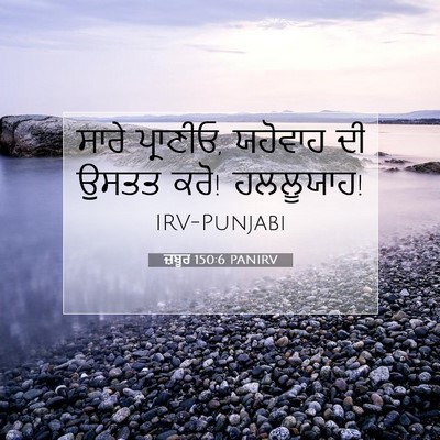 Picture 07 - ਜ਼ਬੂਰ 150:6 PANIRV - ਸਾਰੇ ਪ੍ਰਾਣੀਓ, - Bible Verse Picture