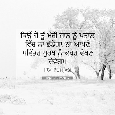 Picture 07 - ਜ਼ਬੂਰ 16:10 PANIRV - ਕਿਉਂ ਜੋ ਤੂੰ ਮੇਰੀ - Bible Verse Picture