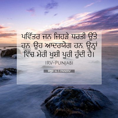 Picture 07 - ਜ਼ਬੂਰ 16:3 PANIRV - ਪਵਿੱਤਰ ਜਨ ਜਿਹੜੇ - Bible Verse Picture