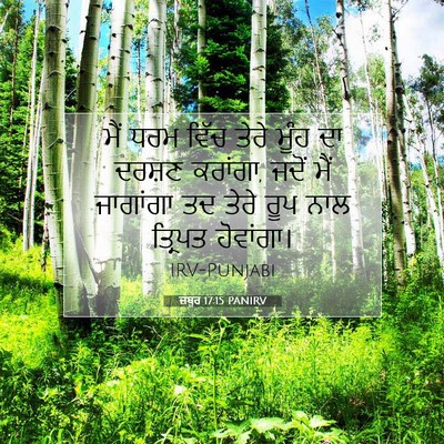 Picture 07 - ਜ਼ਬੂਰ 17:15 PANIRV - ਮੈਂ ਧਰਮ ਵਿੱਚ ਤੇਰੇ - Bible Verse Picture