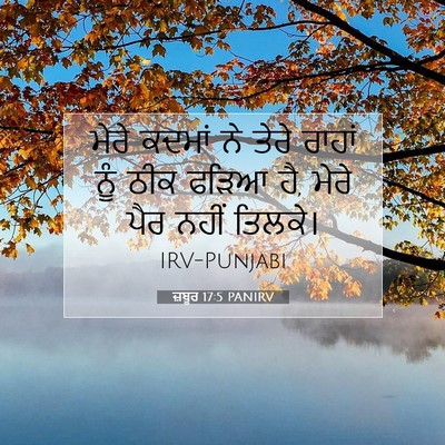 Picture 07 - ਜ਼ਬੂਰ 17:5 PANIRV - ਮੇਰੇ ਕਦਮਾਂ ਨੇ ਤੇਰੇ - Bible Verse Picture
