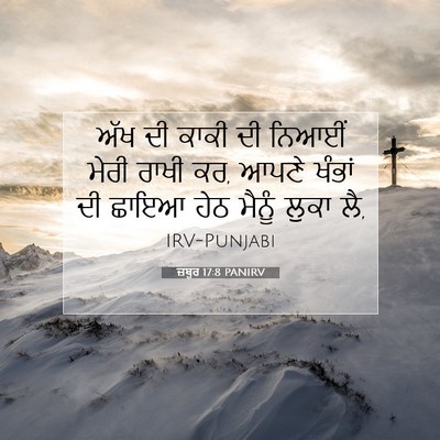 Picture 07 - ਜ਼ਬੂਰ 17:8 PANIRV - ਅੱਖ ਦੀ ਕਾਕੀ ਦੀ - Bible Verse Picture