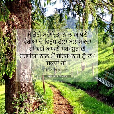 Picture 07 - ਜ਼ਬੂਰ 18:29 PANIRV - ਮੈਂ ਤੇਰੀ ਸਹਾਇਤਾ - Bible Verse Picture