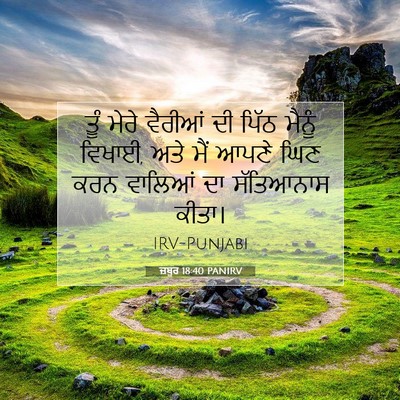 Picture 07 - ਜ਼ਬੂਰ 18:40 PANIRV - ਤੂੰ ਮੇਰੇ ਵੈਰੀਆਂ ਦੀ - Bible Verse Picture