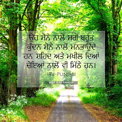 Picture 07 - ਜ਼ਬੂਰ 19:10 PANIRV - ਉਹ ਸੋਨੇ ਨਾਲੋਂ ਸਗੋਂ - Bible Verse Picture
