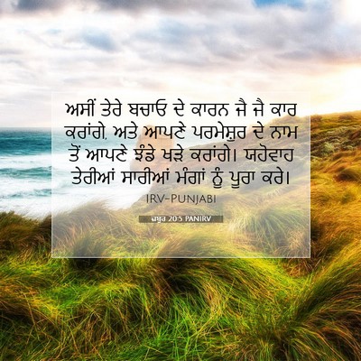 Picture 07 - ਜ਼ਬੂਰ 20:5 PANIRV - ਅਸੀਂ ਤੇਰੇ ਬਚਾਓ ਦੇ - Bible Verse Picture