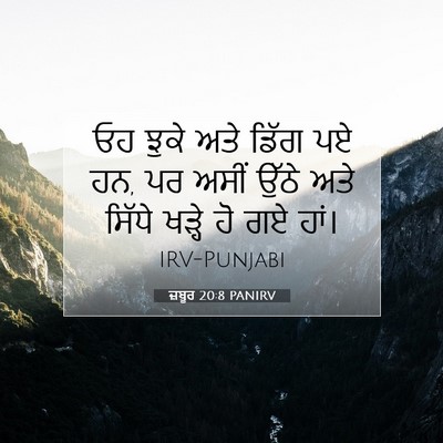 Picture 07 - ਜ਼ਬੂਰ 20:8 PANIRV - ਓਹ ਝੁਕੇ ਅਤੇ ਡਿੱਗ ਪਏ - Bible Verse Picture