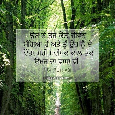Picture 07 - ਜ਼ਬੂਰ 21:4 PANIRV - ਉਸ ਨੇ ਤੇਰੇ ਕੋਲੋਂ - Bible Verse Picture