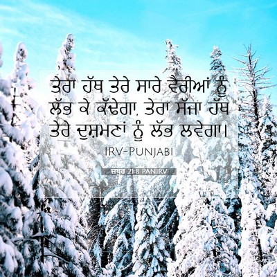 Picture 07 - ਜ਼ਬੂਰ 21:8 PANIRV - ਤੇਰਾ ਹੱਥ ਤੇਰੇ ਸਾਰੇ - Bible Verse Picture