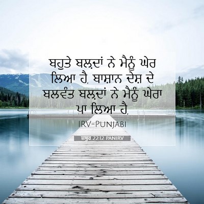 Picture 07 - ਜ਼ਬੂਰ 22:12 PANIRV - ਬਹੁਤੇ ਬਲ਼ਦਾਂ ਨੇ - Bible Verse Picture