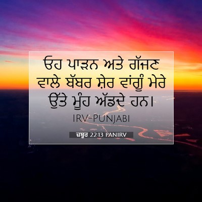 Picture 07 - ਜ਼ਬੂਰ 22:13 PANIRV - ਓਹ ਪਾੜਨ ਅਤੇ ਗੱਜਣ - Bible Verse Picture