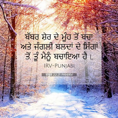 Picture 07 - ਜ਼ਬੂਰ 22:21 PANIRV - ਬੱਬਰ ਸ਼ੇਰ ਦੇ ਮੂੰਹ - Bible Verse Picture