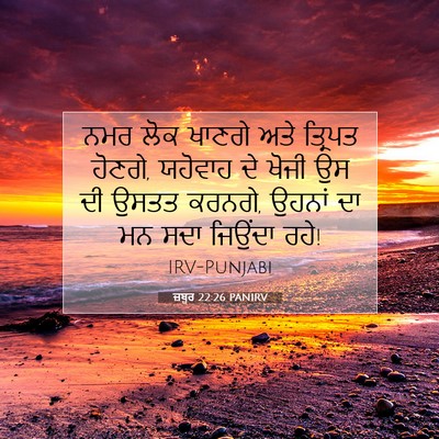 Picture 07 - ਜ਼ਬੂਰ 22:26 PANIRV - ਨਮਰ ਲੋਕ ਖਾਣਗੇ ਅਤੇ - Bible Verse Picture