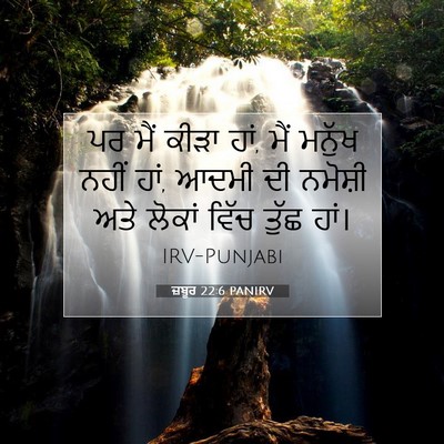 Picture 07 - ਜ਼ਬੂਰ 22:6 PANIRV - ਪਰ ਮੈਂ ਕੀੜਾ ਹਾਂ, - Bible Verse Picture