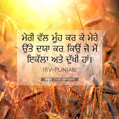 Picture 07 - ਜ਼ਬੂਰ 25:16 PANIRV - ਮੇਰੀ ਵੱਲ ਮੂੰਹ ਕਰ ਕੇ - Bible Verse Picture